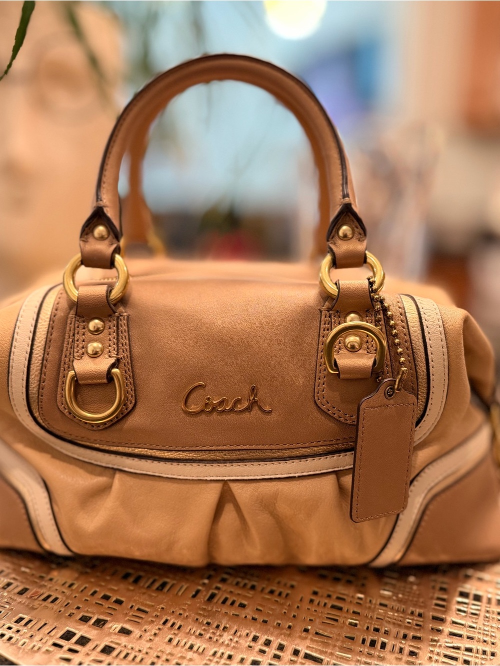 Coach Ashley Spectator Leather Satchel